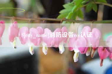 玉溪消防设备ccc认证