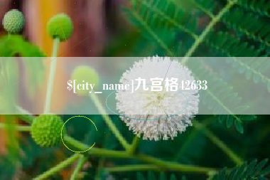玉溪九宫格42633