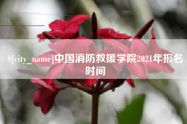 玉溪中国消防救援学院2021年报名时间