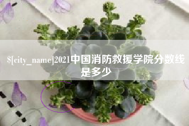 玉溪2021中国消防救援学院分数线是多少