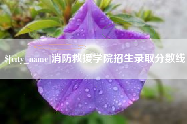 玉溪消防救援学院招生录取分数线