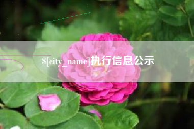 玉溪执行信息公示