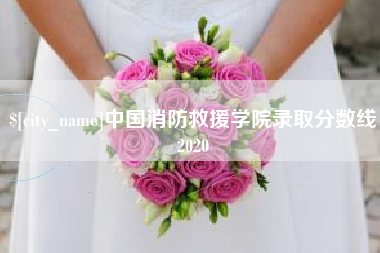 玉溪中国消防救援学院录取分数线2020