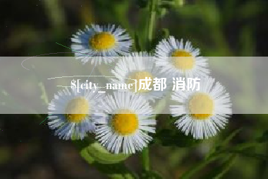 玉溪成都 消防