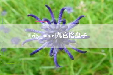 玉溪九宫格盘子