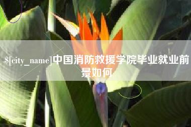 玉溪中国消防救援学院毕业就业前景如何