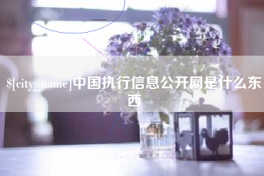 玉溪中国执行信息公开网是什么东西