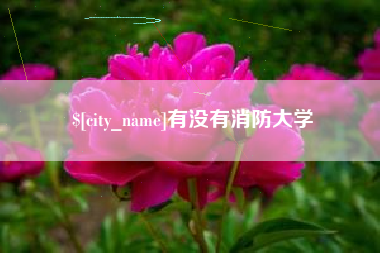 玉溪有没有消防大学