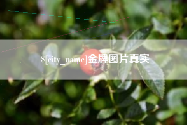 玉溪金牌图片真实