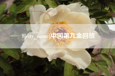 玉溪中国第九金回放