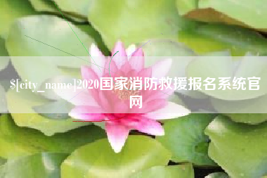 玉溪2020国家消防救援报名系统官网
