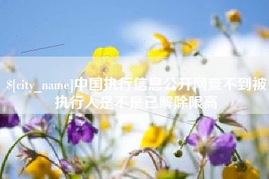 玉溪中国执行信息公开网查不到被执行人是不是已解除限高