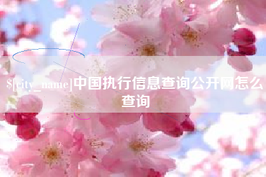 玉溪中国执行信息查询公开网怎么查询