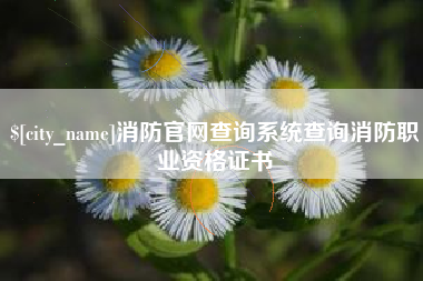 玉溪消防官网查询系统查询消防职业资格证书