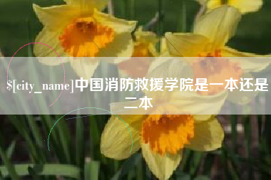 玉溪中国消防救援学院是一本还是二本