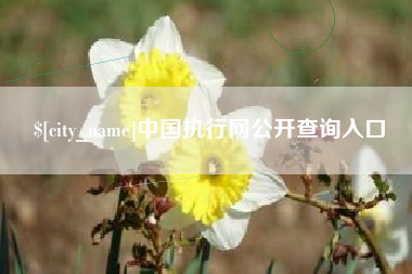 玉溪中国执行网公开查询入口