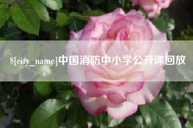 玉溪中国消防中小学公开课回放