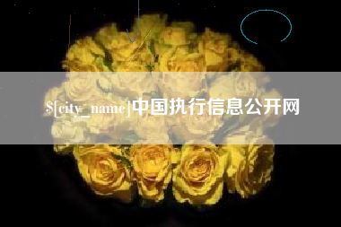 玉溪中国执行信息公开网