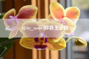 玉溪邱县王子磊