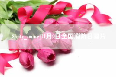 玉溪11月9日全国消防日图片