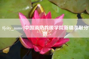 玉溪中国消防救援学院新疆录取分数
