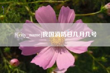 玉溪我国消防日几月几号