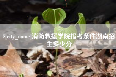 玉溪消防救援学院报考条件湖南招生多少分