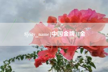 玉溪中国金牌18金