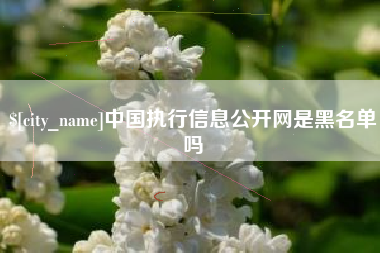 玉溪中国执行信息公开网是黑名单吗