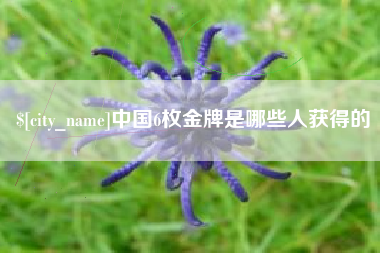 玉溪中国6枚金牌是哪些人获得的
