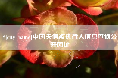 玉溪中国失信被执行人信息查询公开网址
