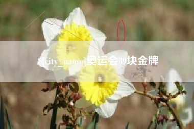 玉溪奥运会39块金牌