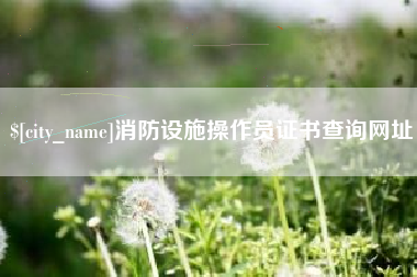玉溪消防设施操作员证书查询网址