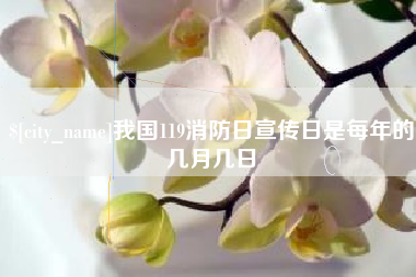 玉溪我国119消防日宣传日是每年的几月几日