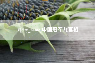 玉溪中国冠军九宫格