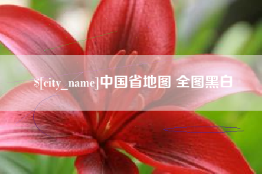 玉溪中国省地图 全图黑白