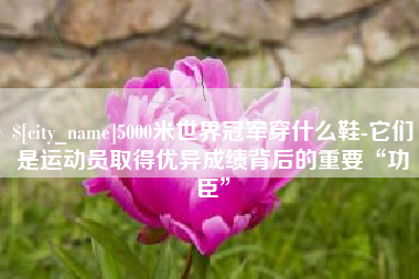 玉溪5000米世界冠军穿什么鞋-它们是运动员取得优异成绩背后的重要“功臣”