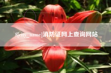 玉溪消防证网上查询网站