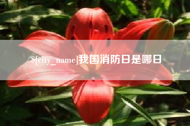 玉溪我国消防日是哪日