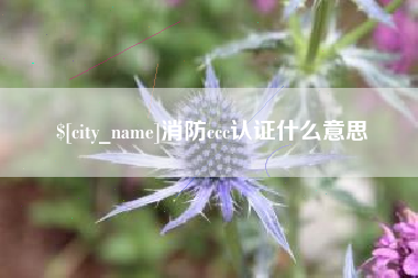 玉溪消防ccc认证什么意思
