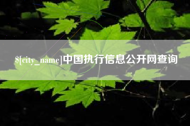 玉溪中国执行信息公开网查询