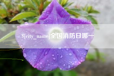 玉溪全国消防日哪一