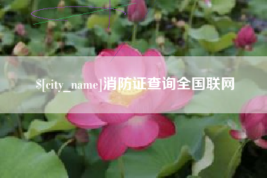 玉溪消防证查询全国联网
