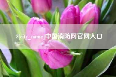 玉溪中国消防网官网入口