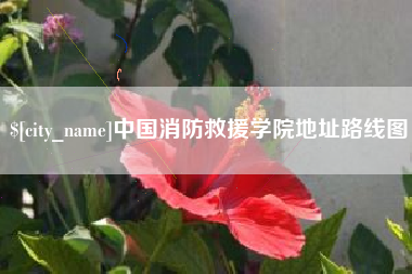 玉溪中国消防救援学院地址路线图