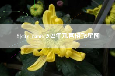 玉溪2022年九宫格飞星图