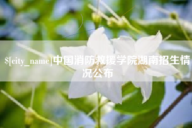玉溪中国消防救援学院湖南招生情况公布