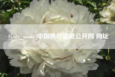 玉溪中国执行信息公开网 网址