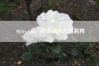 玉溪中国消防产品官网