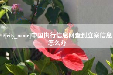 玉溪中国执行信息网查到立案信息怎么办